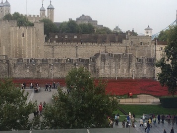 Tower of London with red poppies